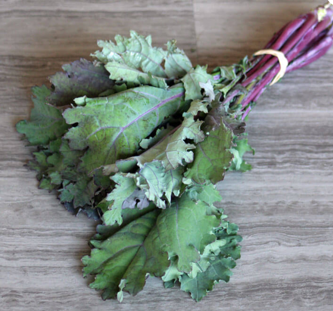 Kale Bundle / out of season