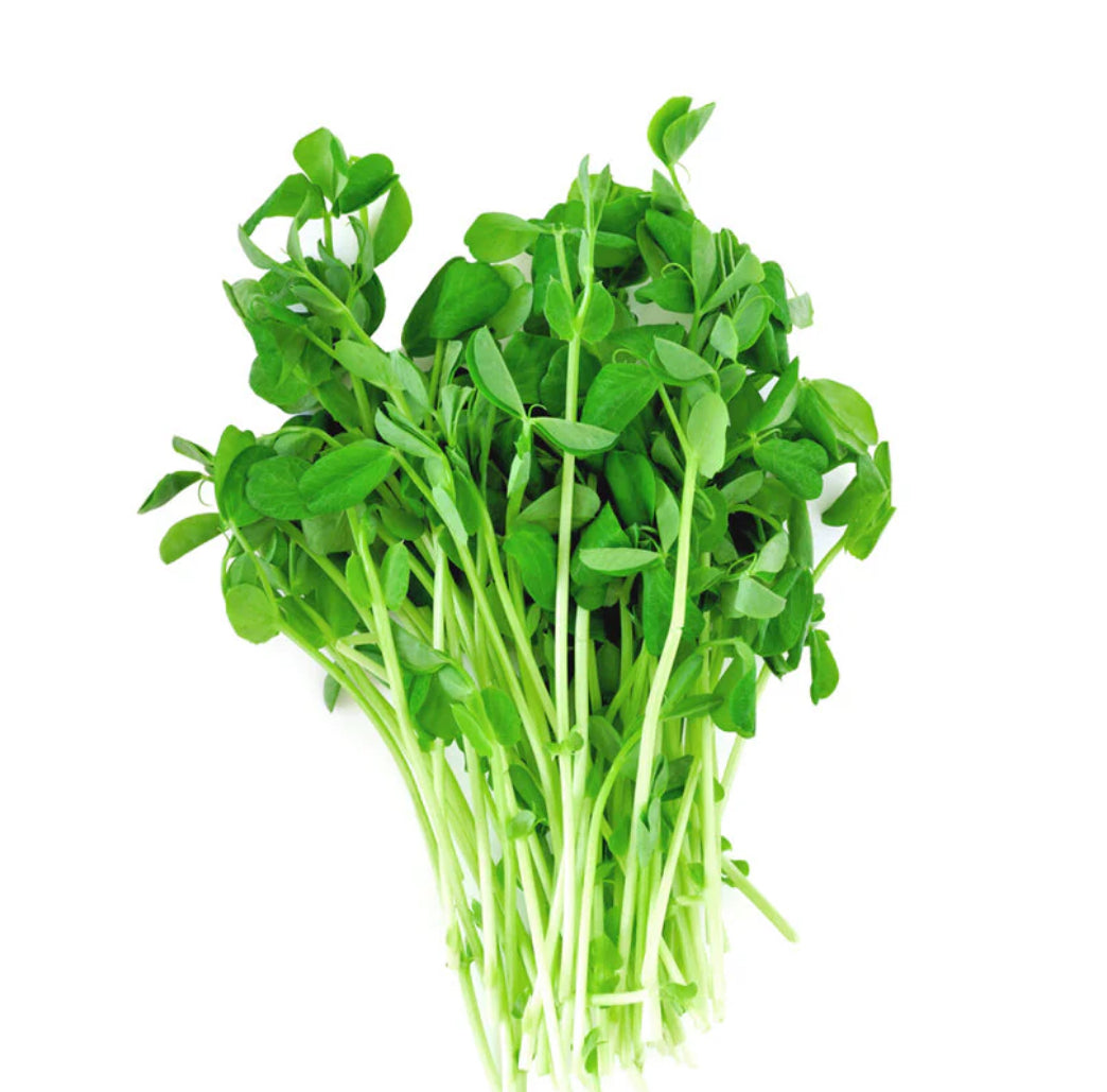 Pea Shoots