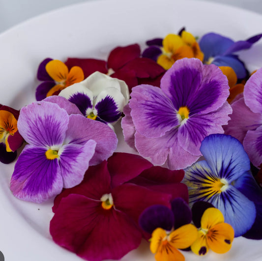Assorted Edible Flowers
